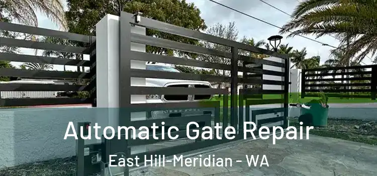 Automatic Gate Repair East Hill-Meridian - WA