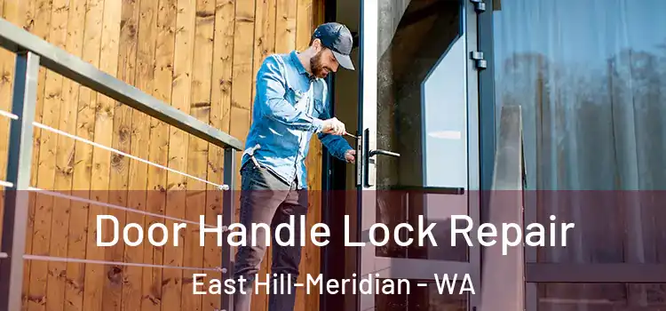 Door Handle Lock Repair East Hill-Meridian - WA
