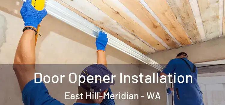 Door Opener Installation East Hill-Meridian - WA