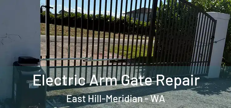 Electric Arm Gate Repair East Hill-Meridian - WA