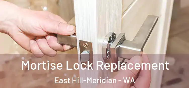 Mortise Lock Replacement East Hill-Meridian - WA